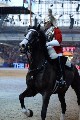 Cavalry - 00324